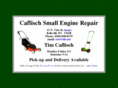 timcaflisch.com