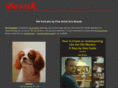 bossik.com