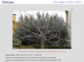 filofotos.net