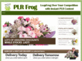 plrfrog.com