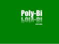 poly-bi.com