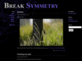 breaksymmetry.com