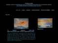 patriciastarkspaintings.com