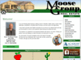 brucethemooserealty.com