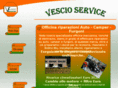 vescioservice.com