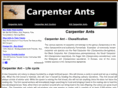 carpenter-ants.info