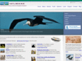 izilwane.com