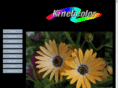 kineticolor.com