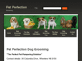 petperfectiondoggrooming.com