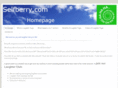 selfberry.com