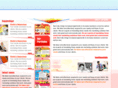 web-designstudio.com