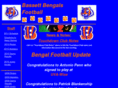 bassettbengalfootball.com