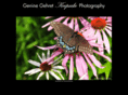 ggkphotography.com