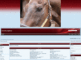 horseracingmania.com