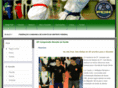 karatedebrasilia.org.br