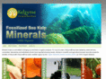 mineralocean.com