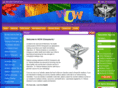 wowchiropractic.com