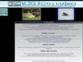 icsfotovideo.it