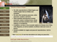 naturesdesignsonline.com