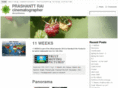 storyinframes.com