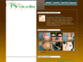 aracelisestetica.com
