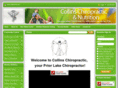 collinschiro.net