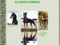 illusionminpins.com