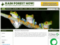 rainforestnow.org