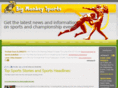 bigmonkeysports.com