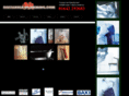 britannia-plumbing.com