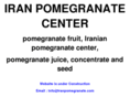 iranpomegranate.com