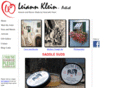 kleindesignstudios.com
