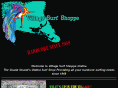 villagesurf.com