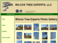 wilcoxtreeexperts.com