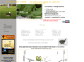 willandalegolf.com