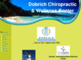 dobrichchiropractic.com