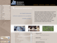 morrisonmaierle.com