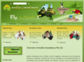 ausflyconsultancy.com