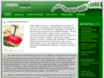 delphihealthservices.com