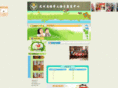 dzsiyu.com