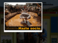 radiovaldivielso.es