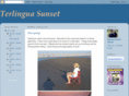 terlinguasunset.com