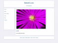 beholdlove.com