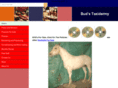 budstaxidermy.com