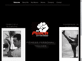 dafitpunch.com