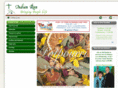 indianrunfamily.com