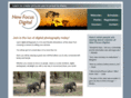 newfocusdigital.com