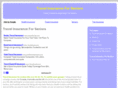 travelinsuranceforseniors.org