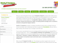 worthyitsolutions.com