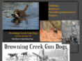 drowningcreekgundogs.com